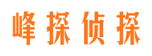 白碱滩侦探